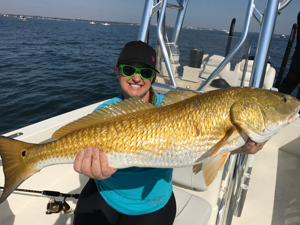Redfish caught in Pensacola Bay, Pensacola FL