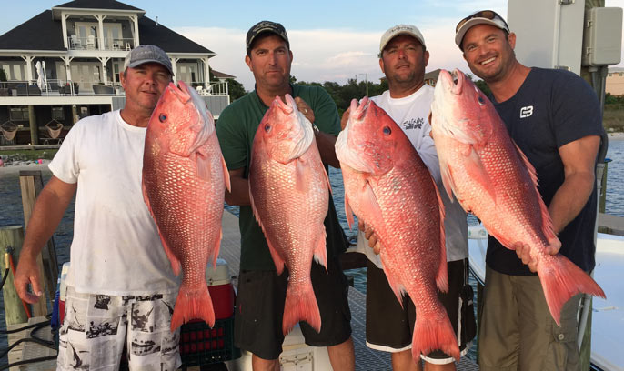 Red Snappers caught in the Gulf of Mexico