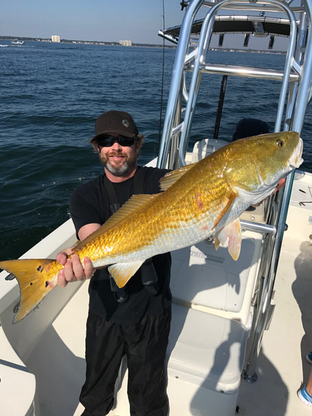 Charter Boat Guest Holding a Redfish Caught In Pensacola Bay
